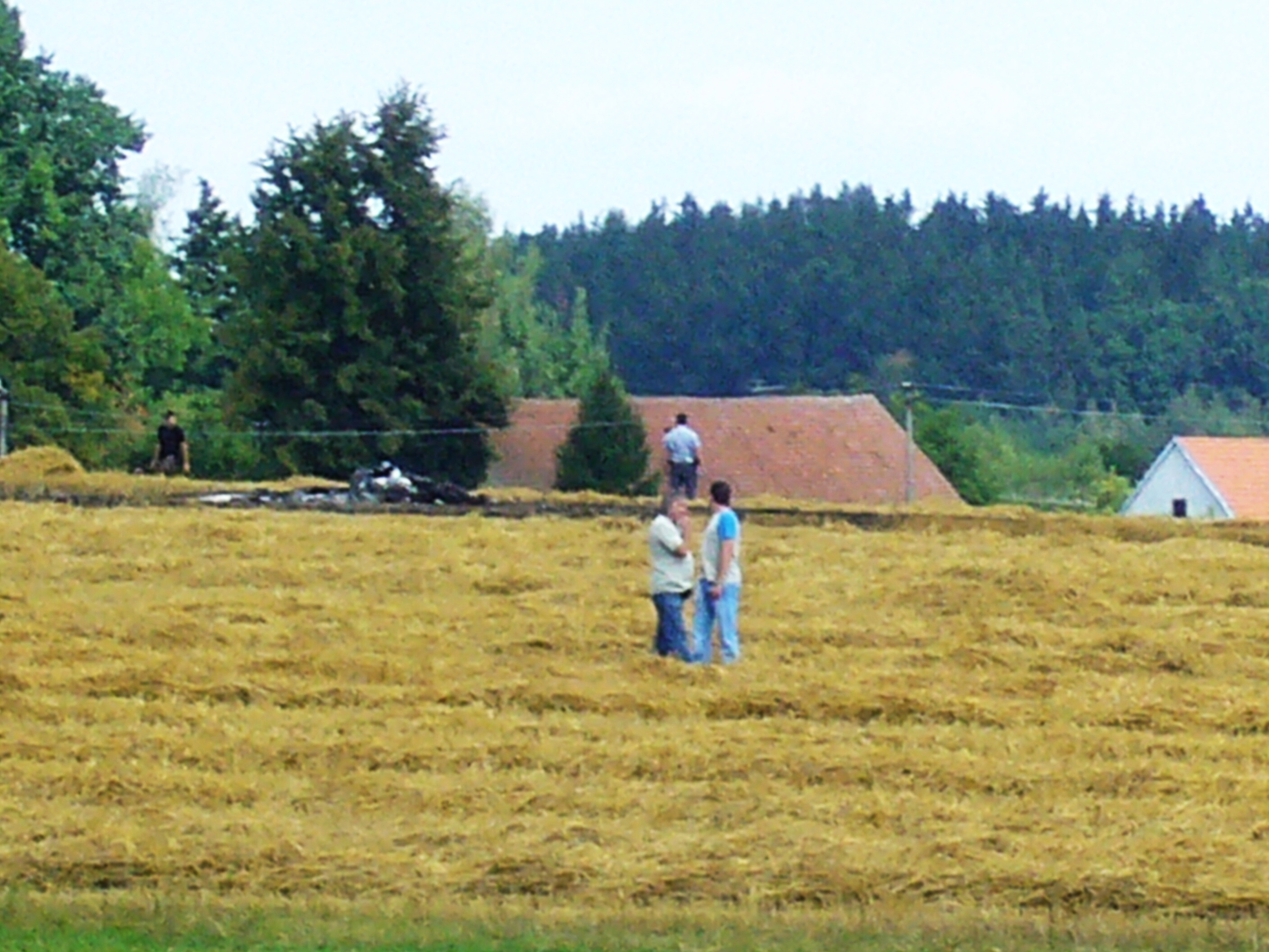 P1050122.JPG